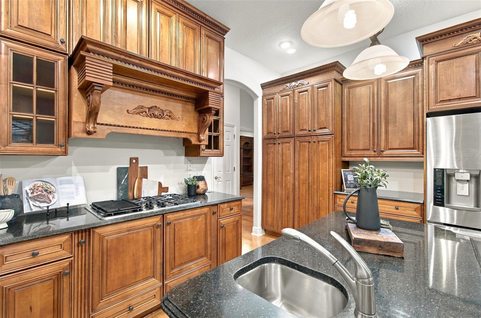 816 CITRUS WOOD LN — photo 20