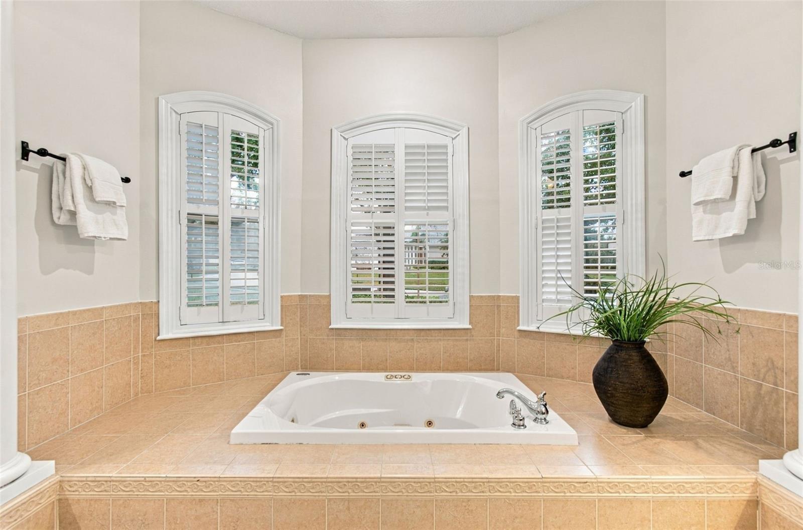 816 CITRUS WOOD LN — photo 65