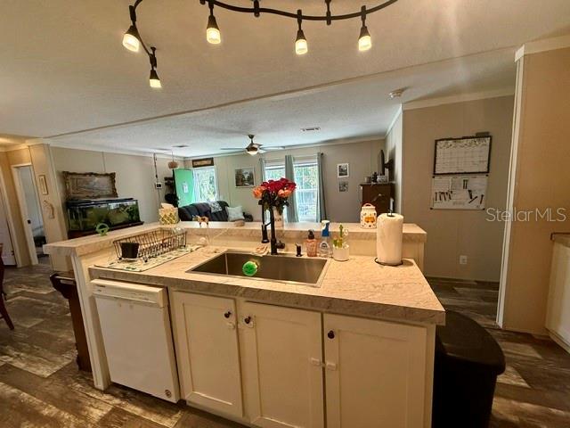 9825 LEGUNA ST — photo 7