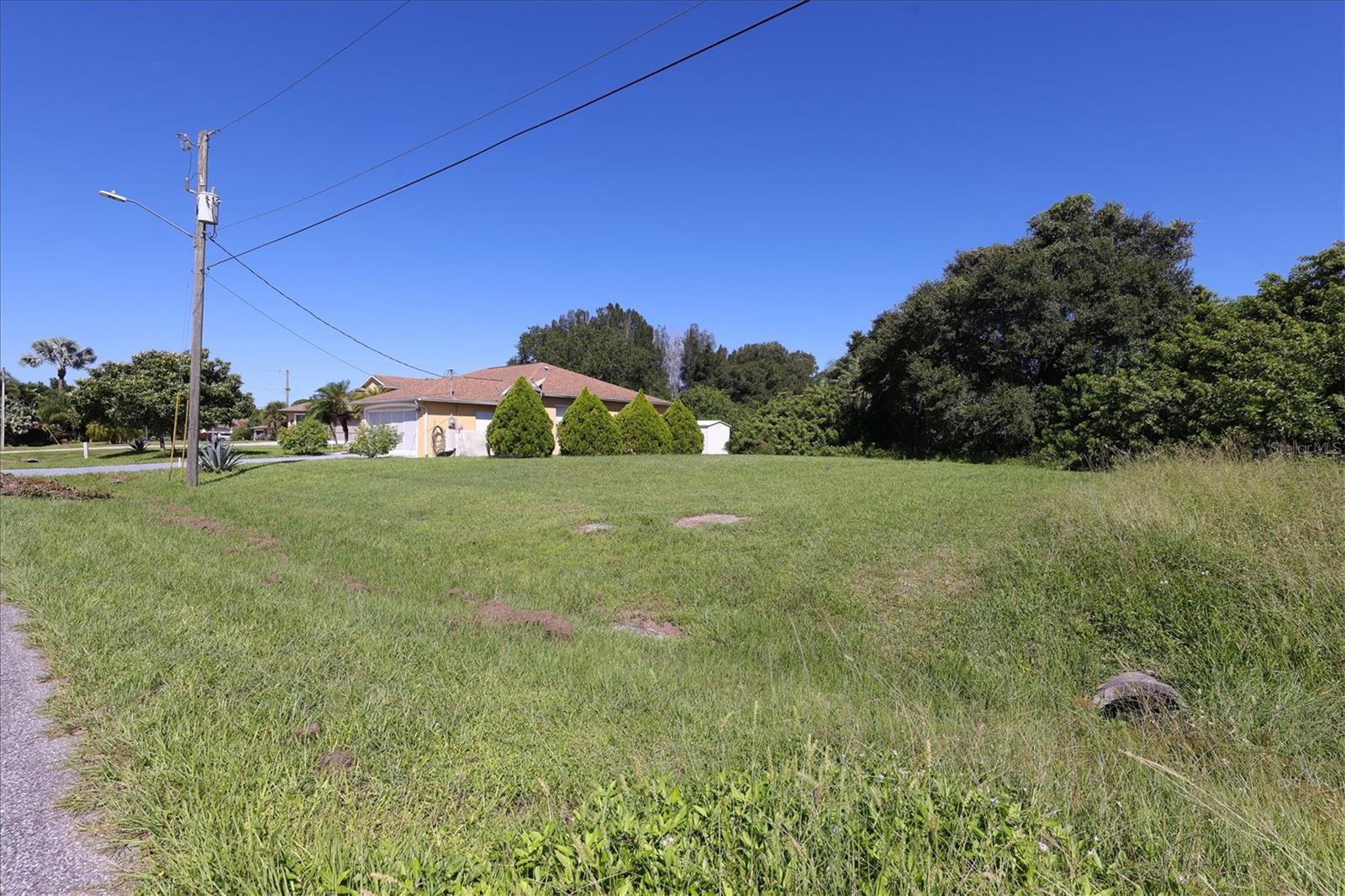 12004 SARTO LN — photo 42