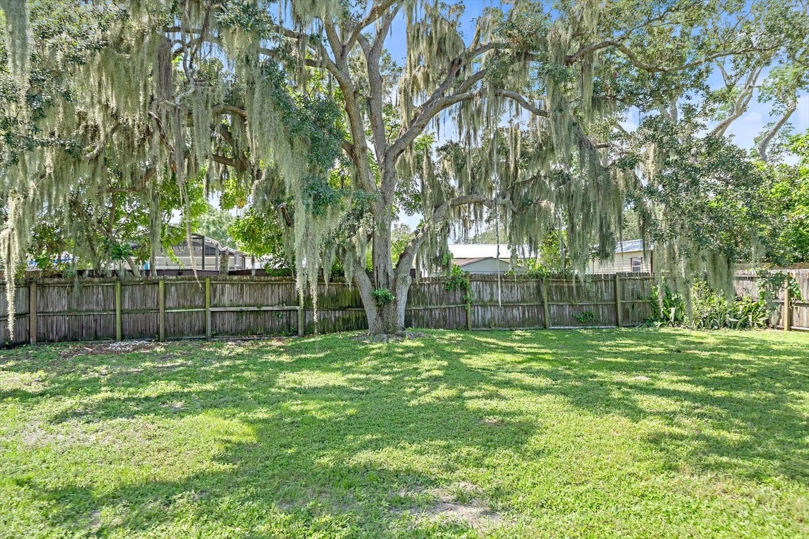 3338 BAILEY ST — photo 19