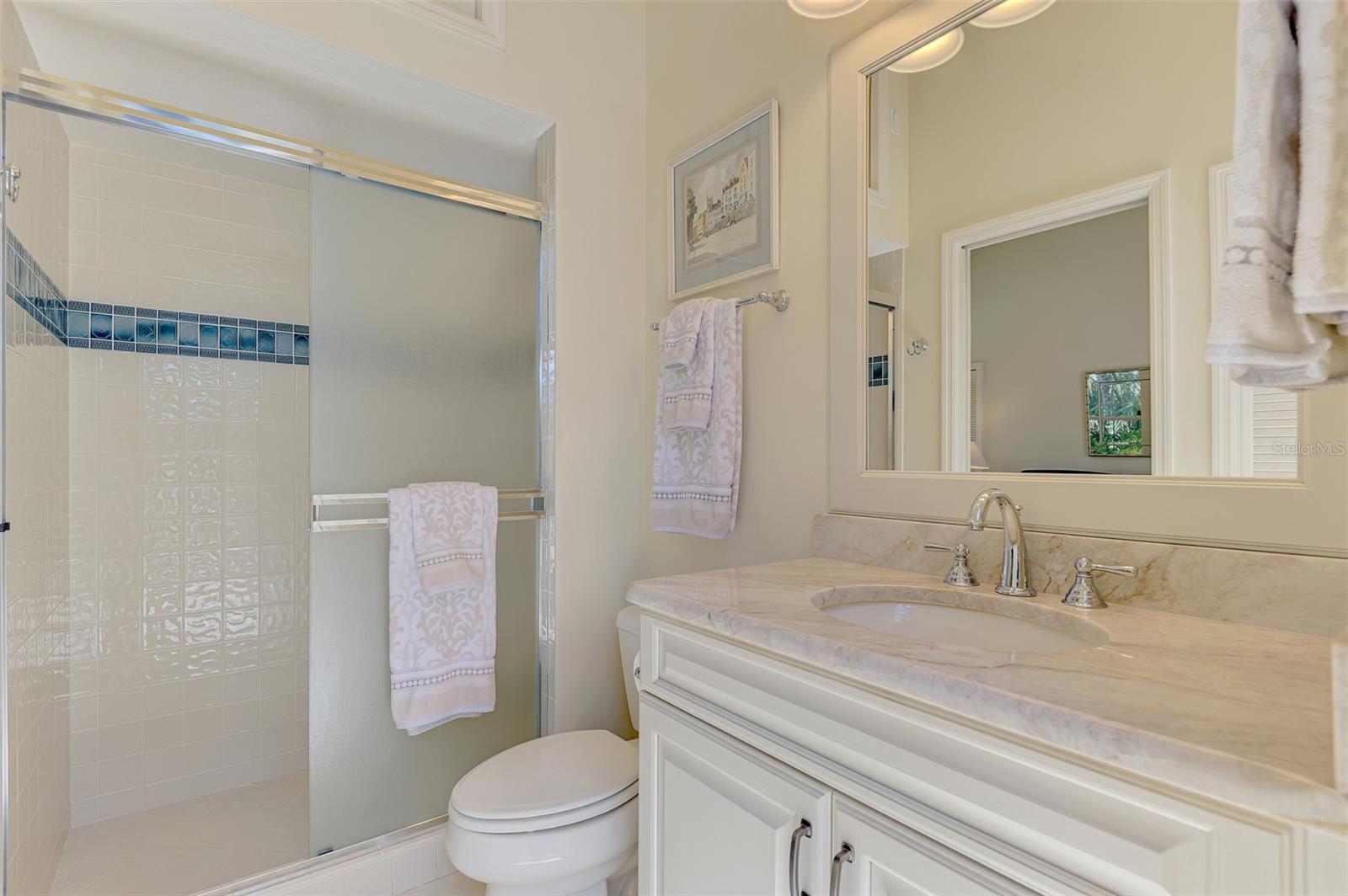 314 STONE BRIAR CREEK DR — photo 55