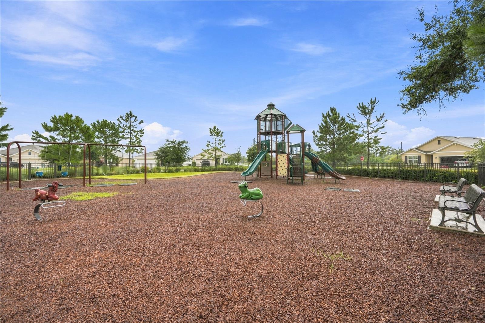 10202 HAPPY HEART AVE — photo 47