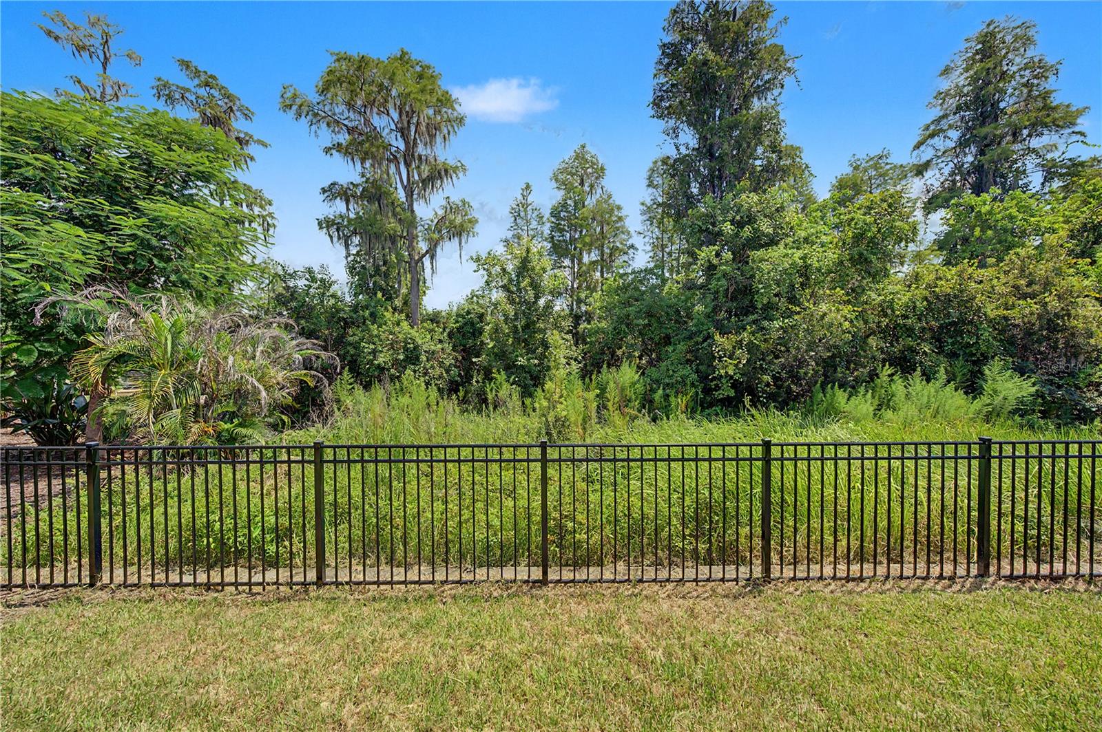 19539 ROSEATE DR — photo 32