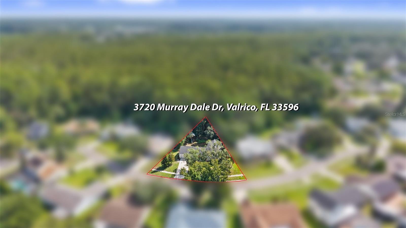 3720 MURRAY DALE DR — photo 61
