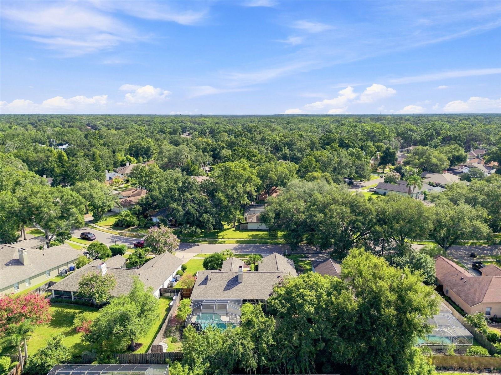 16804 SHEFFIELD PARK DR — photo 64