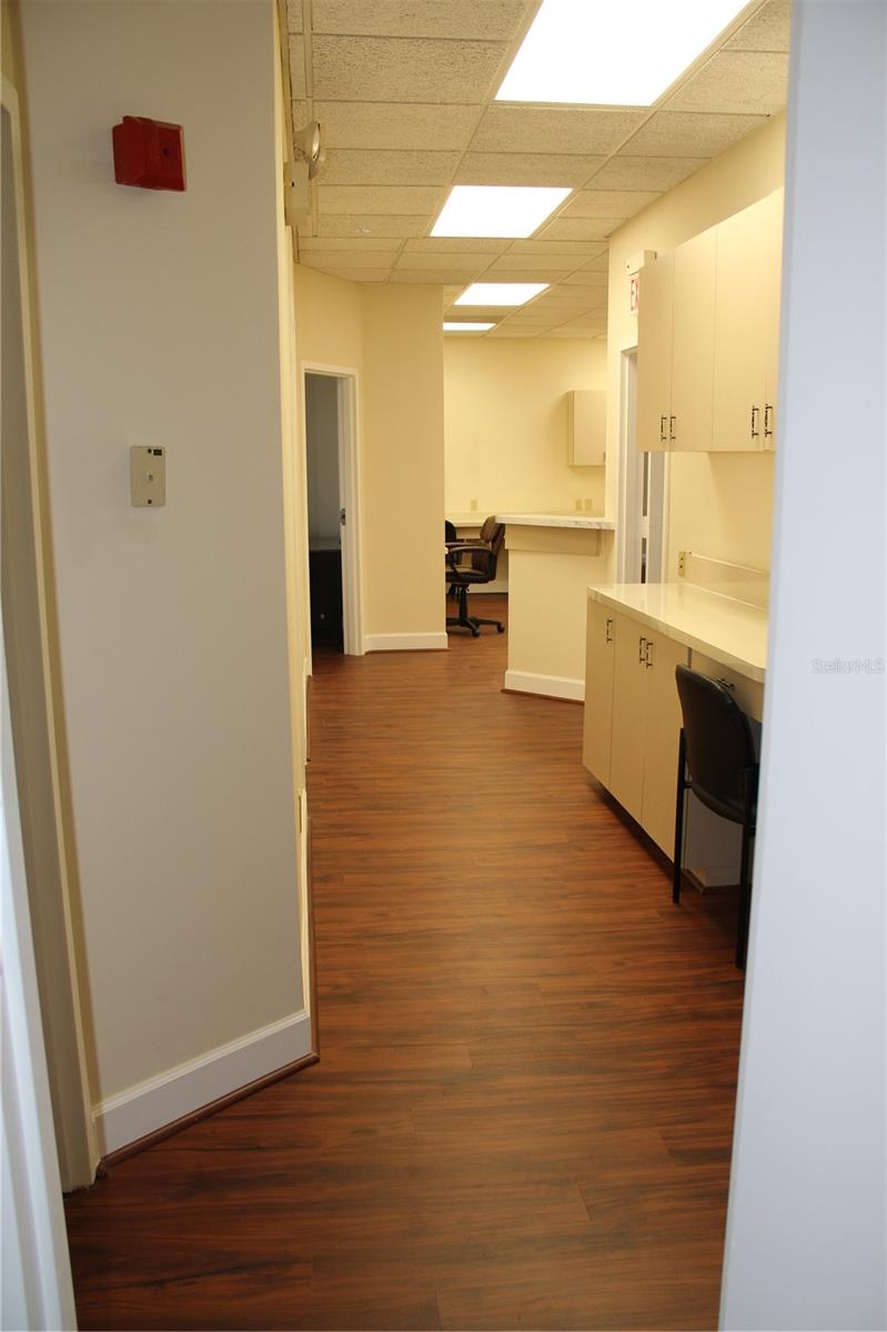 13801 BRUCE B DOWNS BLVD #203 — photo 11