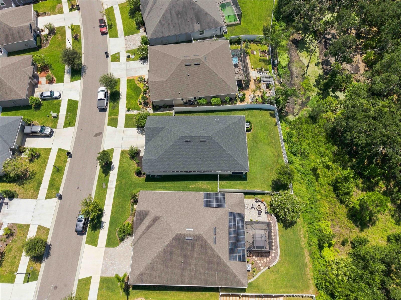 12943 SATIN LILY DR — photo 28