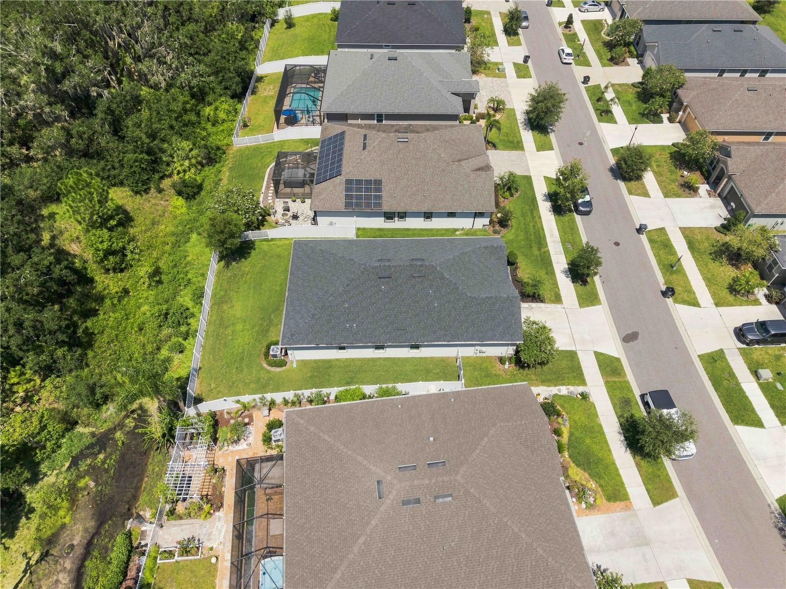 12943 SATIN LILY DR — photo 25