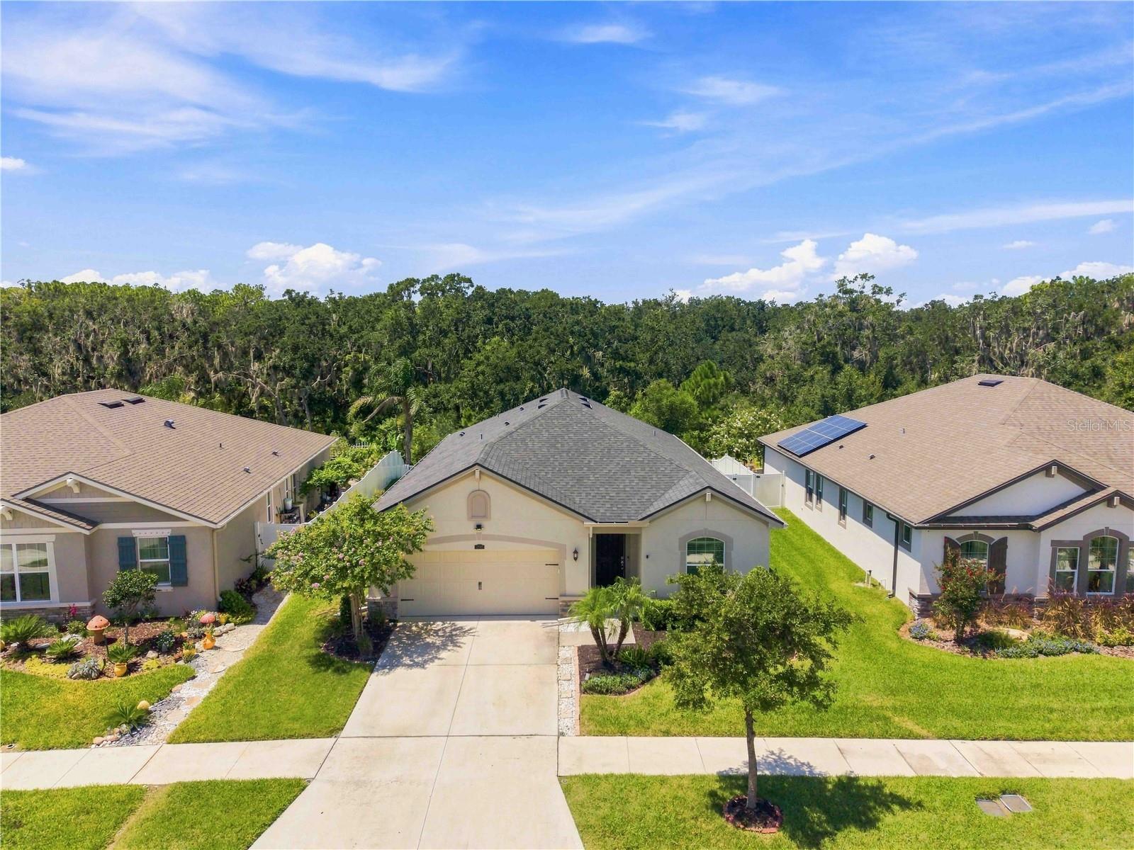12943 SATIN LILY DR — photo 23