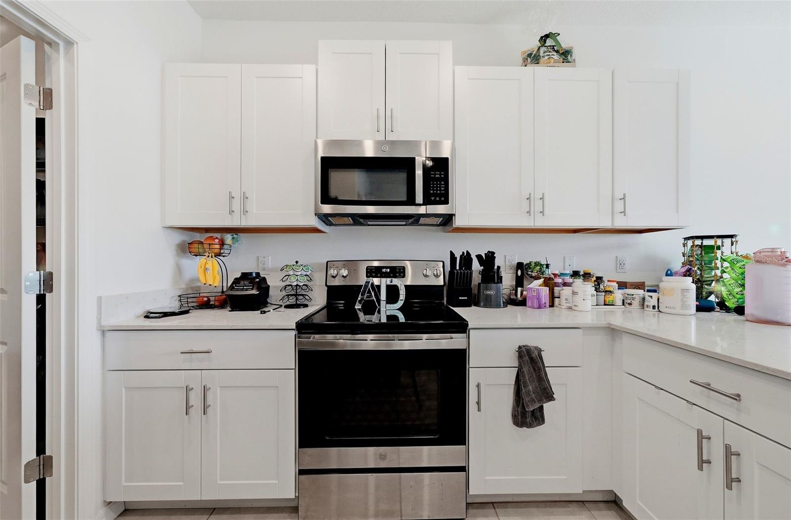 10336 LAVENDER ASTER TRL — photo 6