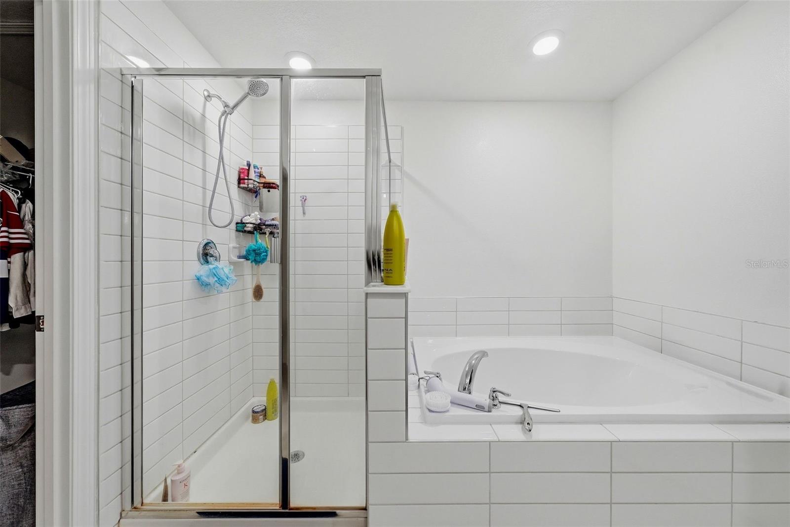 10336 LAVENDER ASTER TRL — photo 15