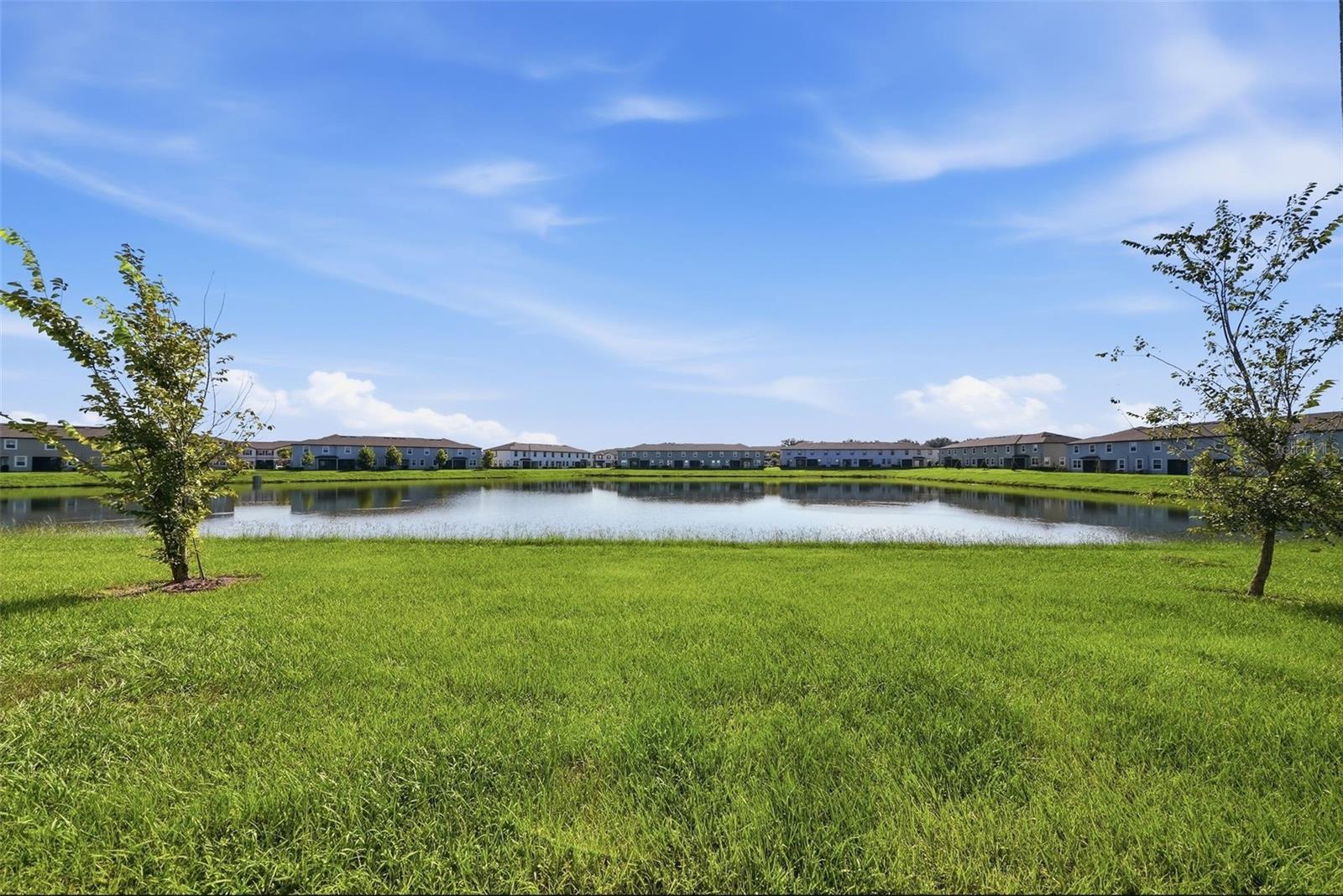 10336 LAVENDER ASTER TRL — photo 21