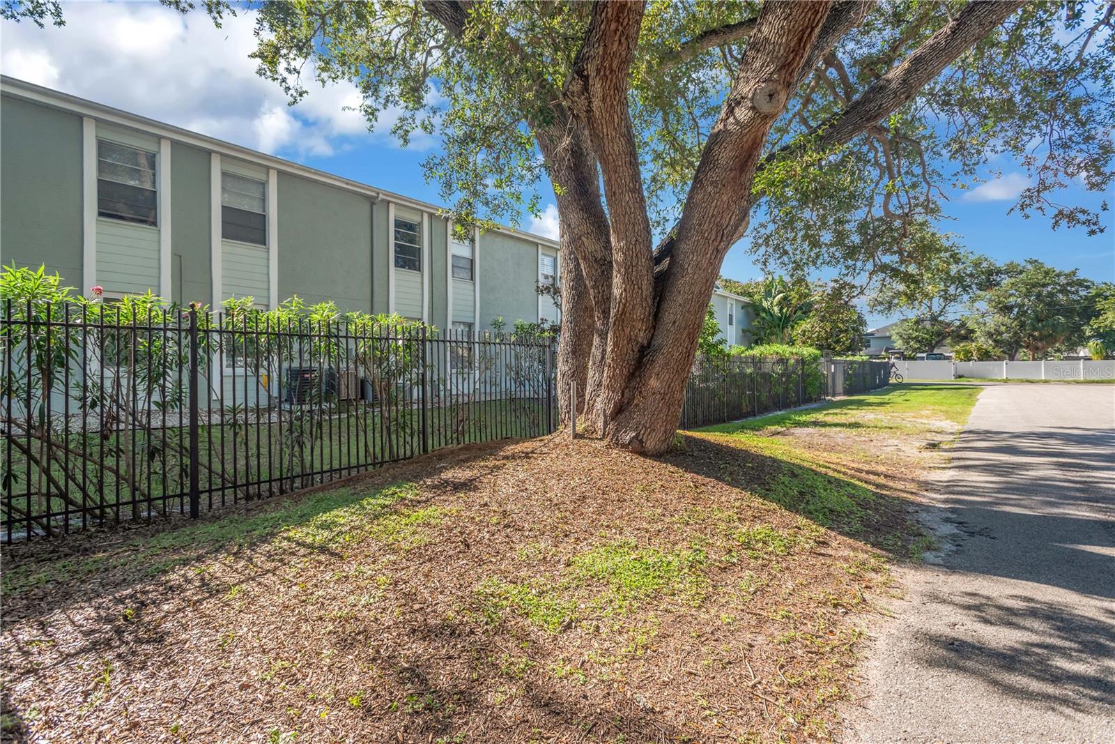 5440 S MACDILL AVE #3C — photo 19