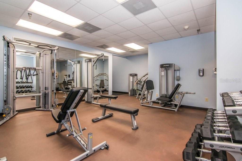 345 BAYSHORE BLVD #808 — photo 37