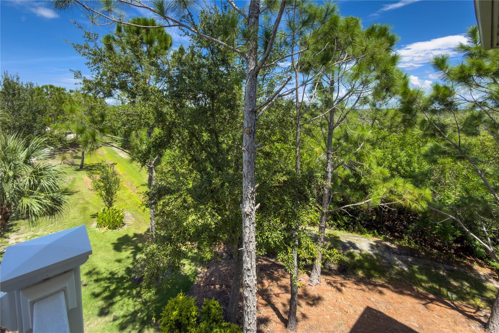 311 SAPPHIRE LAKE DR #202 — photo 33
