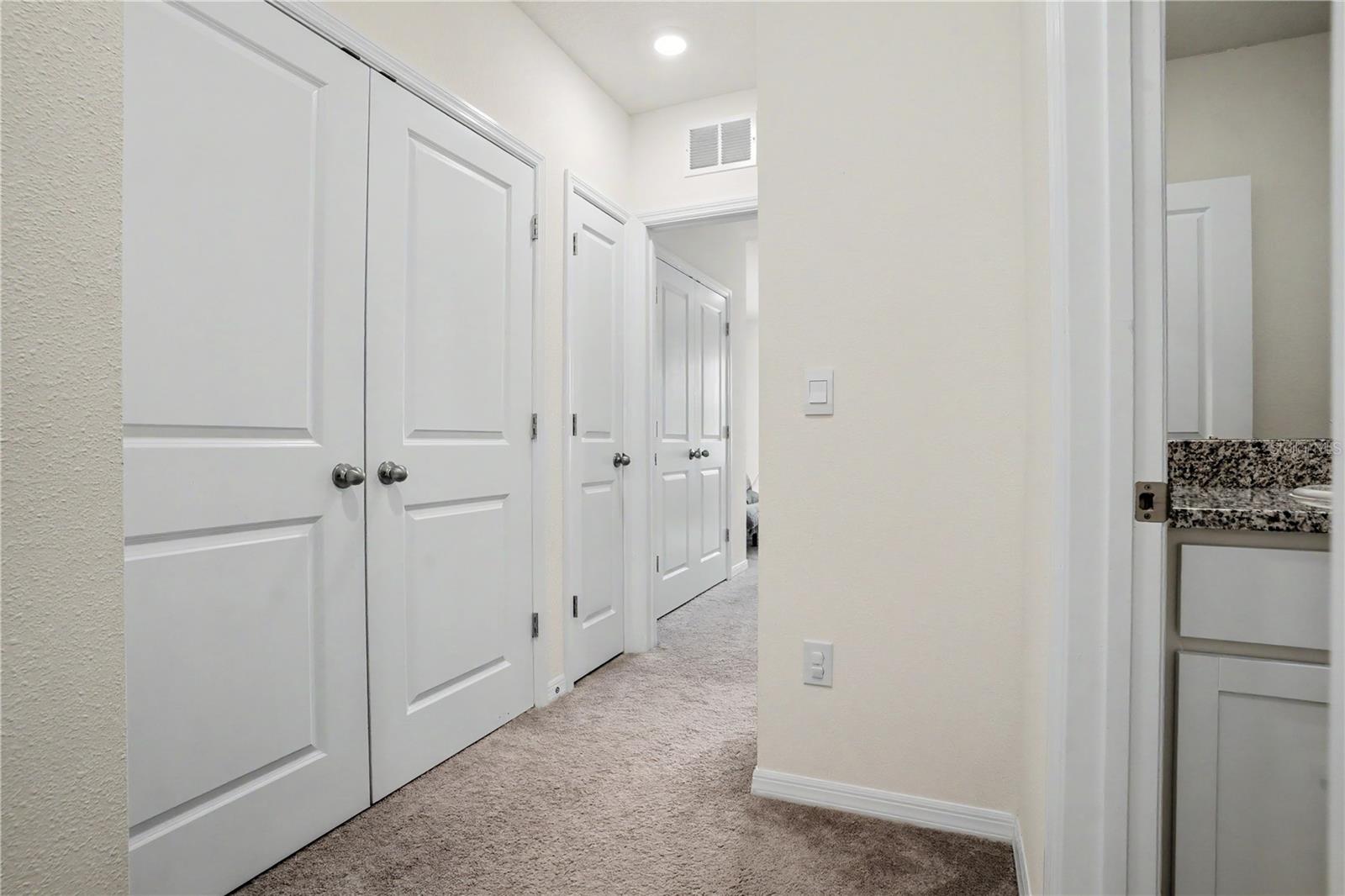 17238 AMBER ASPEN WAY — photo 17