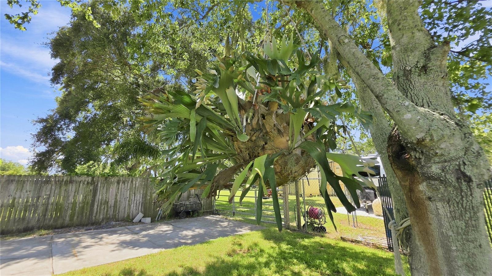 14125 PLUM LN — photo 26