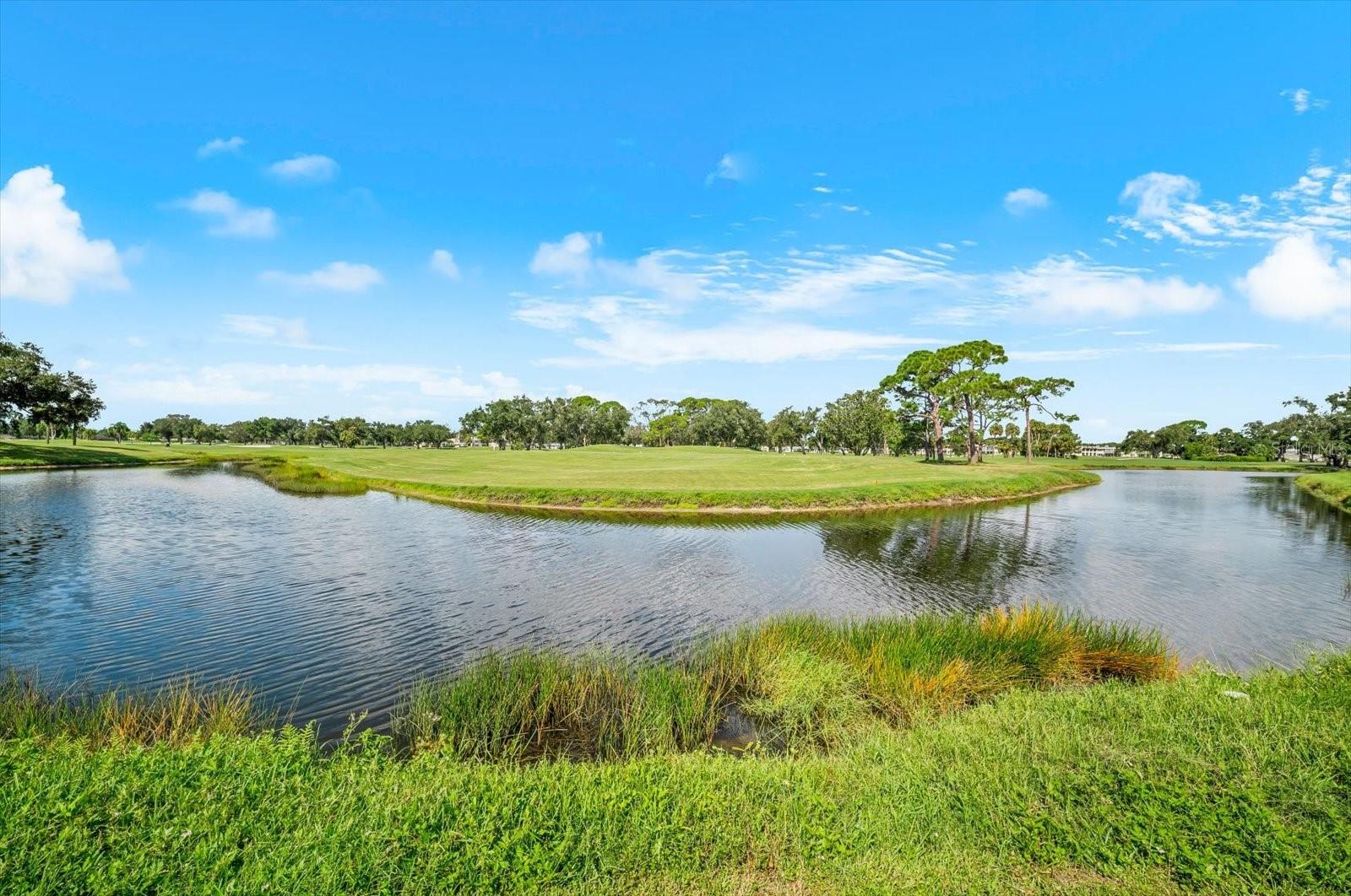7306 GOLF POINTE CIR — photo 28
