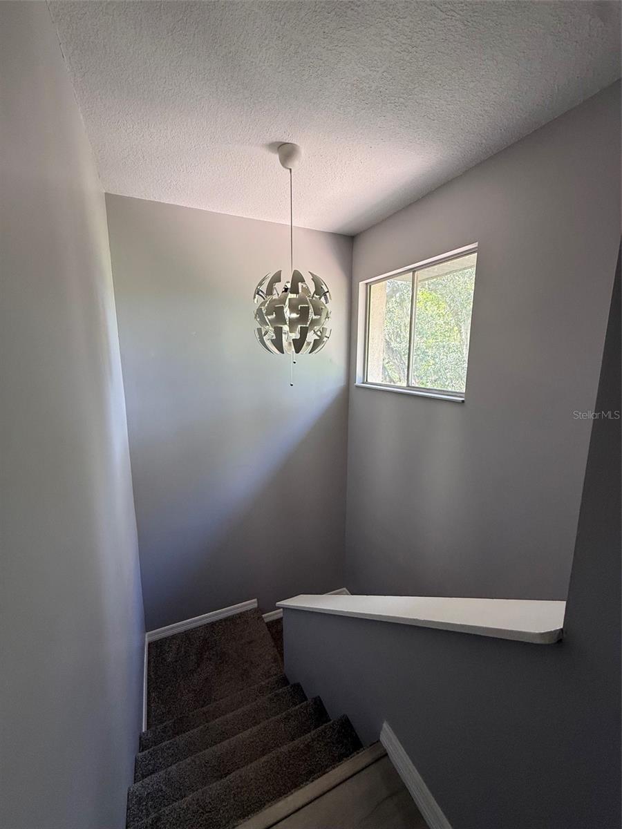 6814 WHITMAN PL #6814 — photo 9