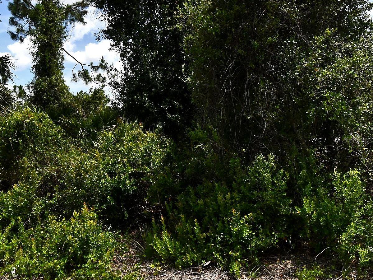 DE BRITA RD — photo 3