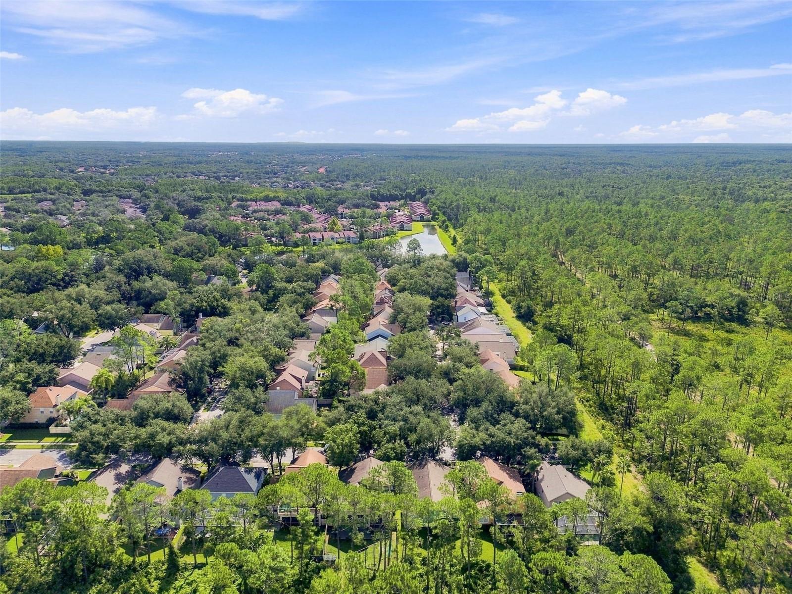 17708 LONG RIDGE RD — photo 67