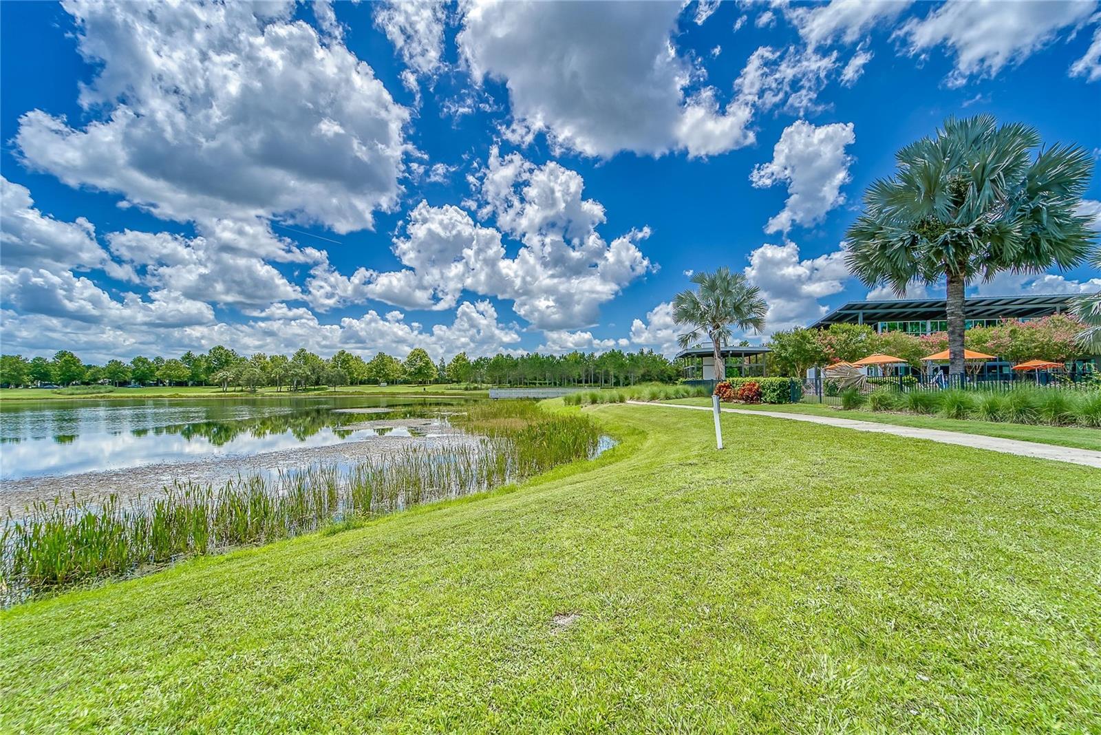 7528 PARADISO DR — photo 67