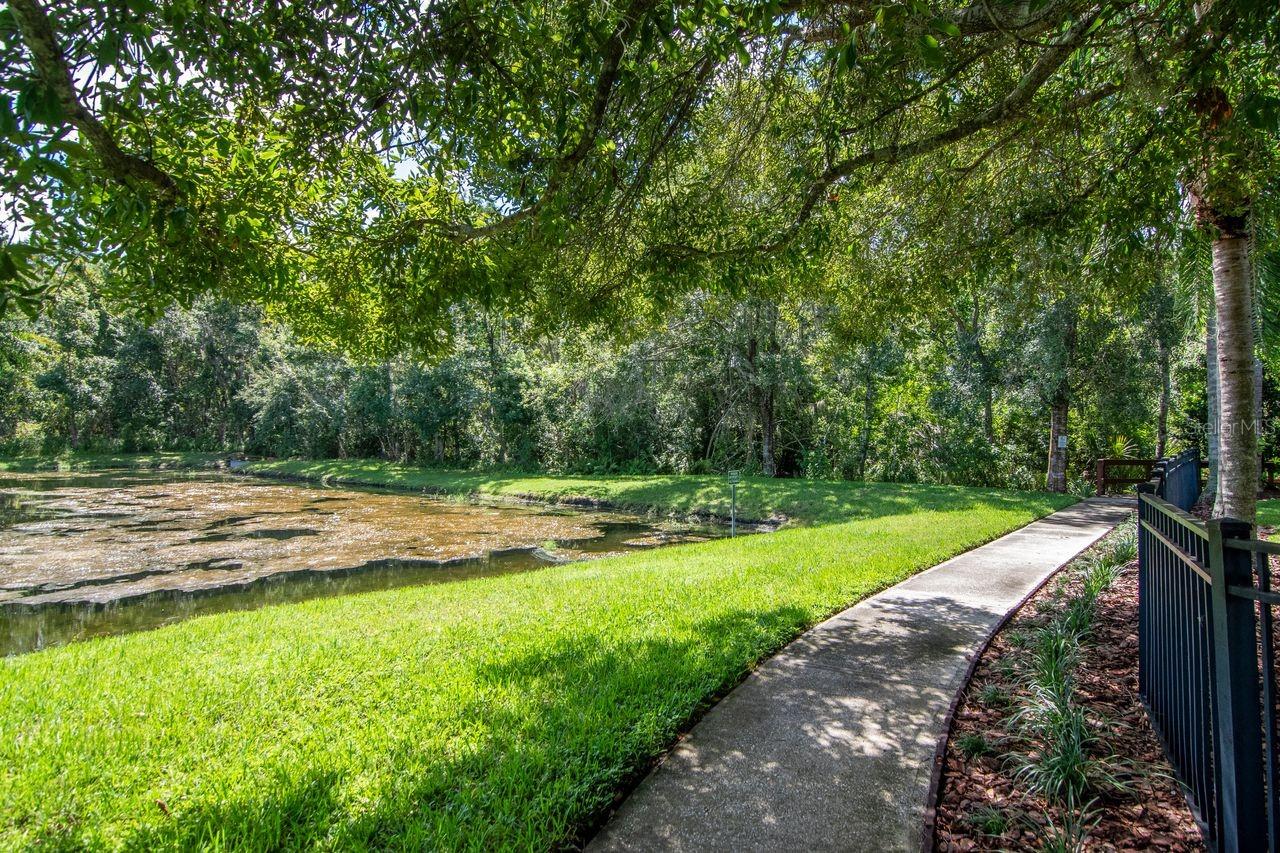 21228 MARSH HAWK DR — photo 57