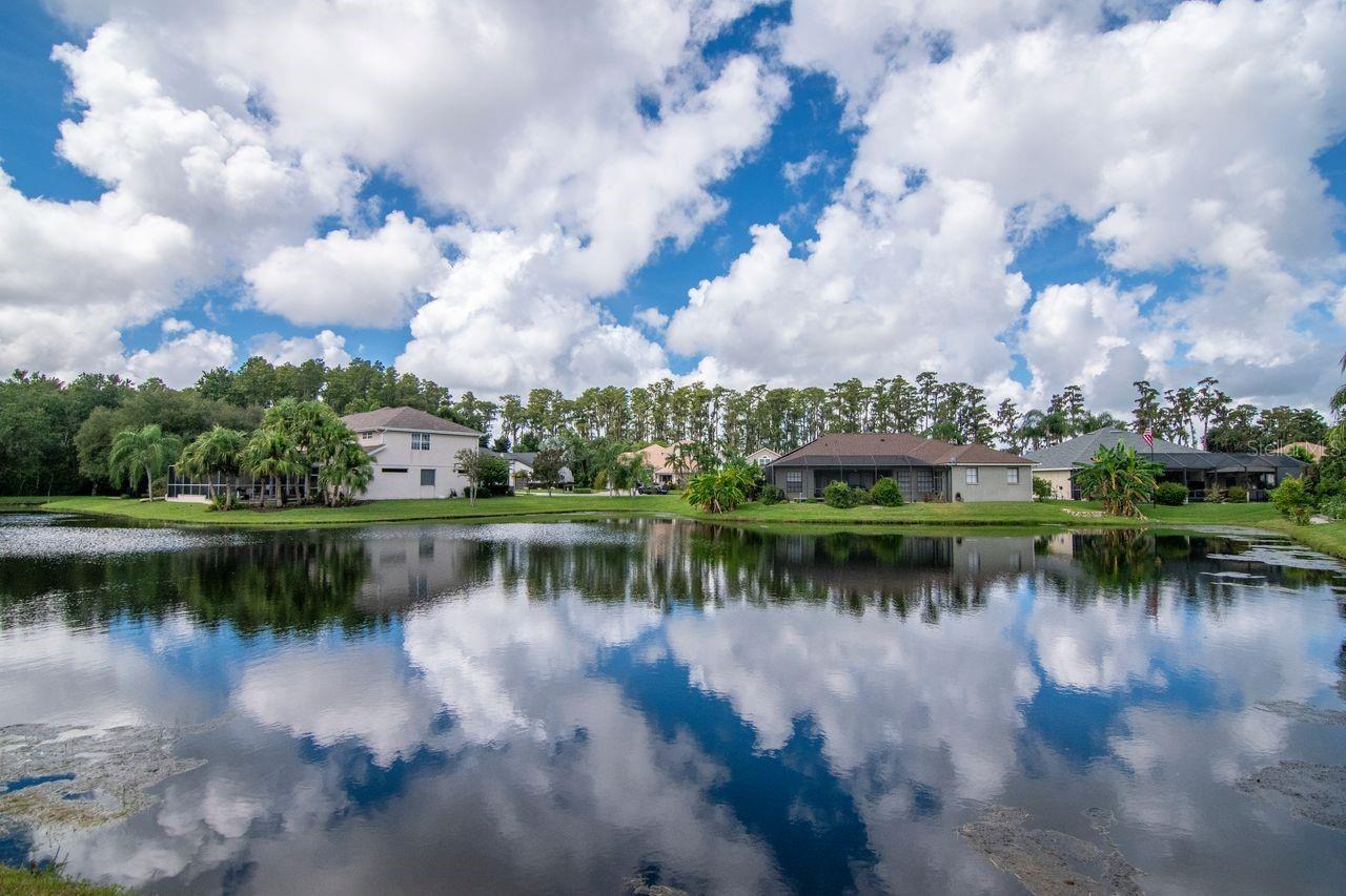 21228 MARSH HAWK DR — photo 4