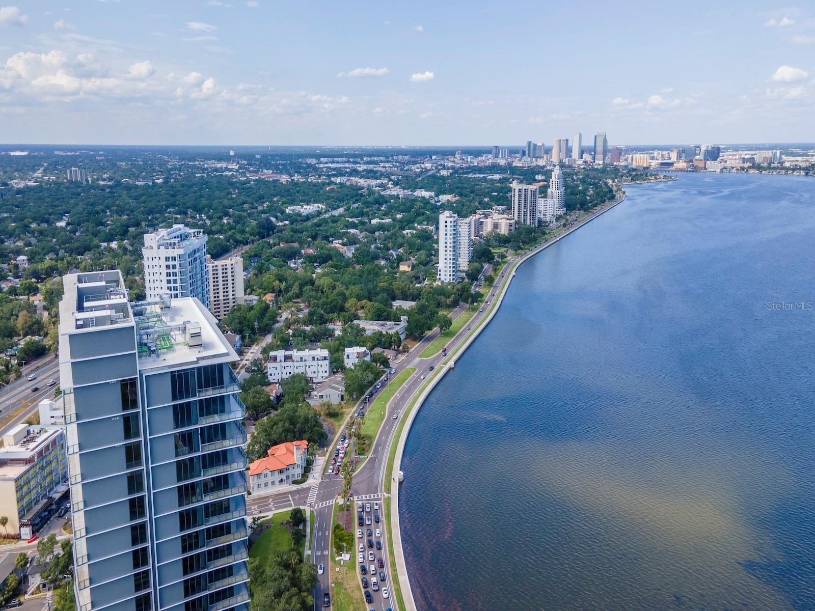 3101 BAYSHORE BLVD #1001 — photo 87