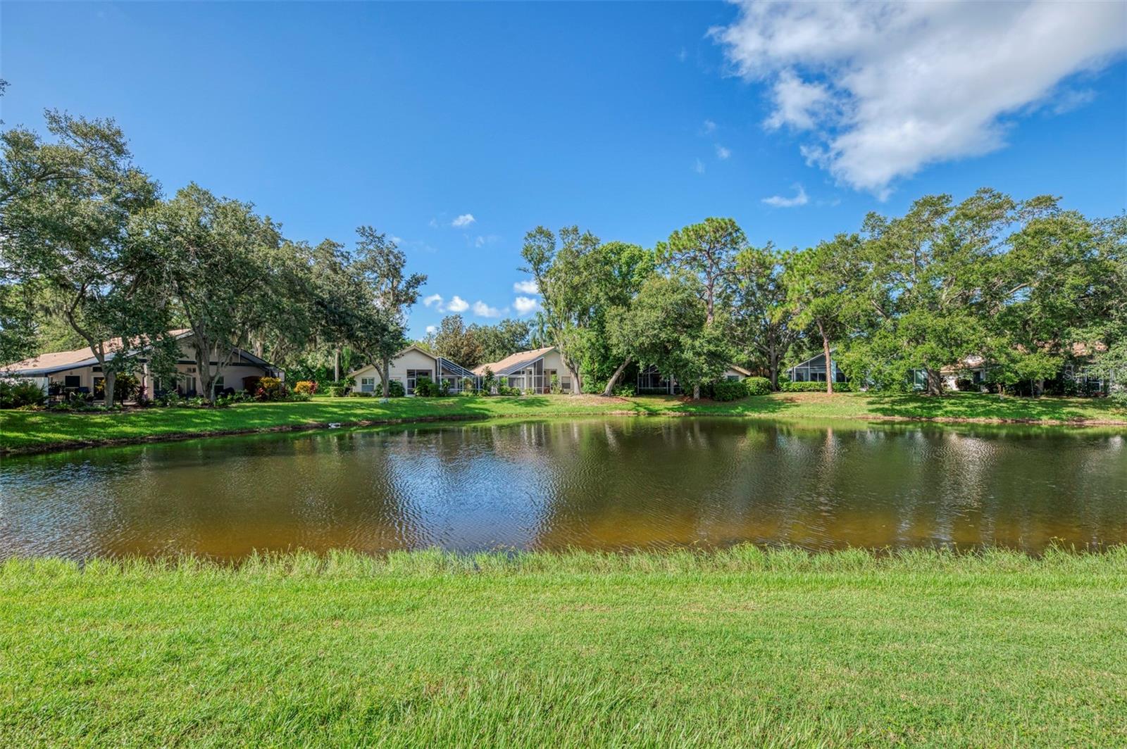 4468 ASCOT CIR N — photo 44
