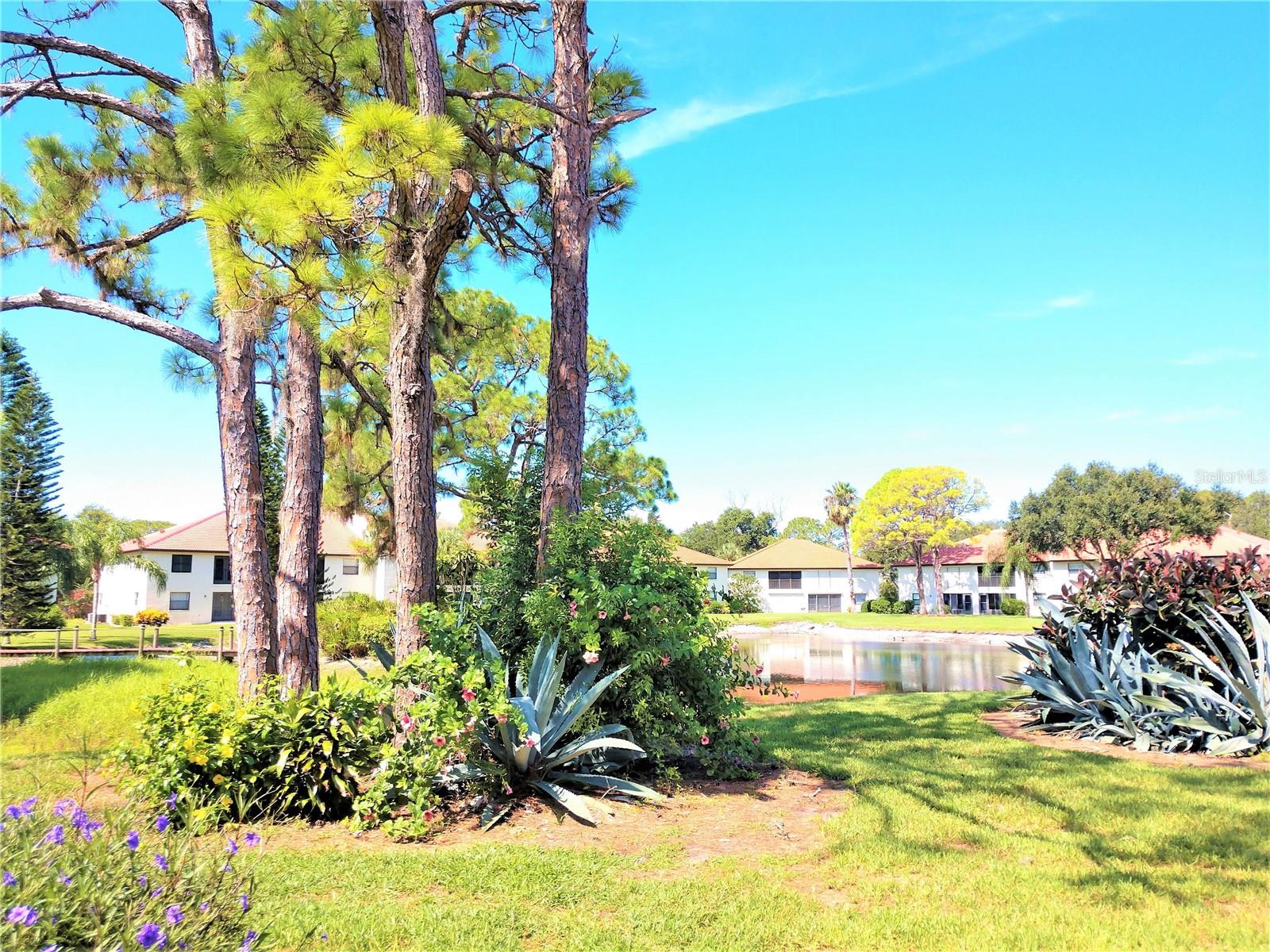 307 PINE HOLLOW CIR #307 — photo 31
