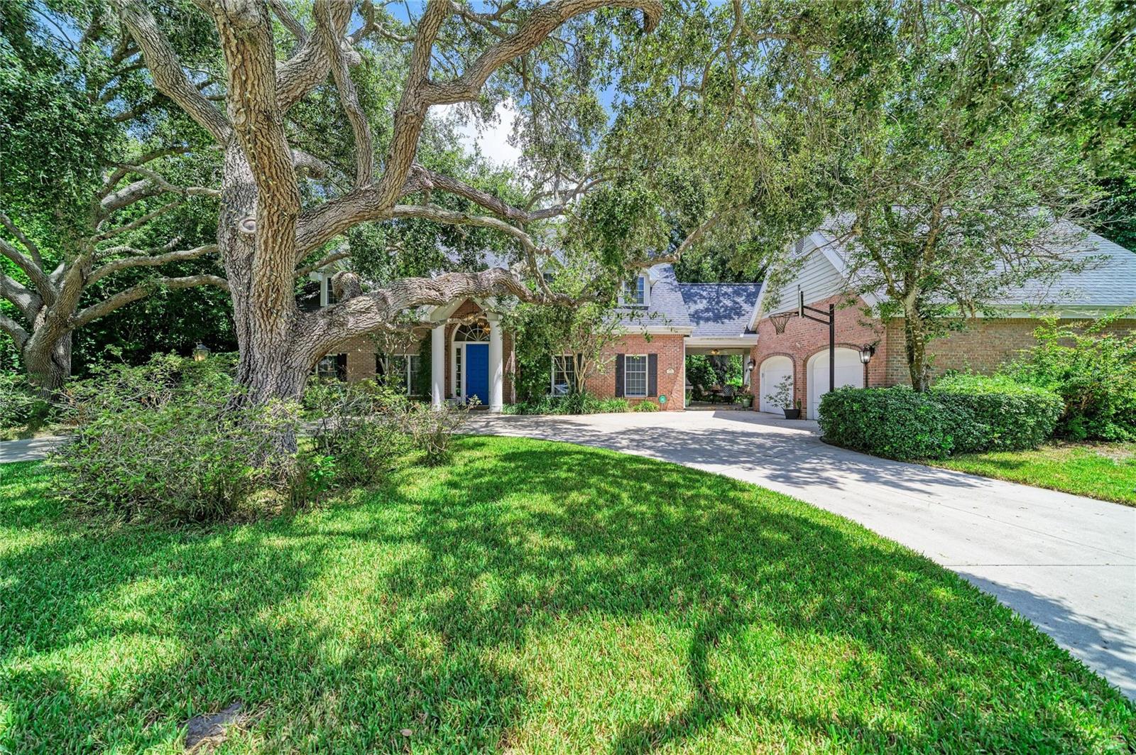 3706 AVENIDA MADERA — photo 53