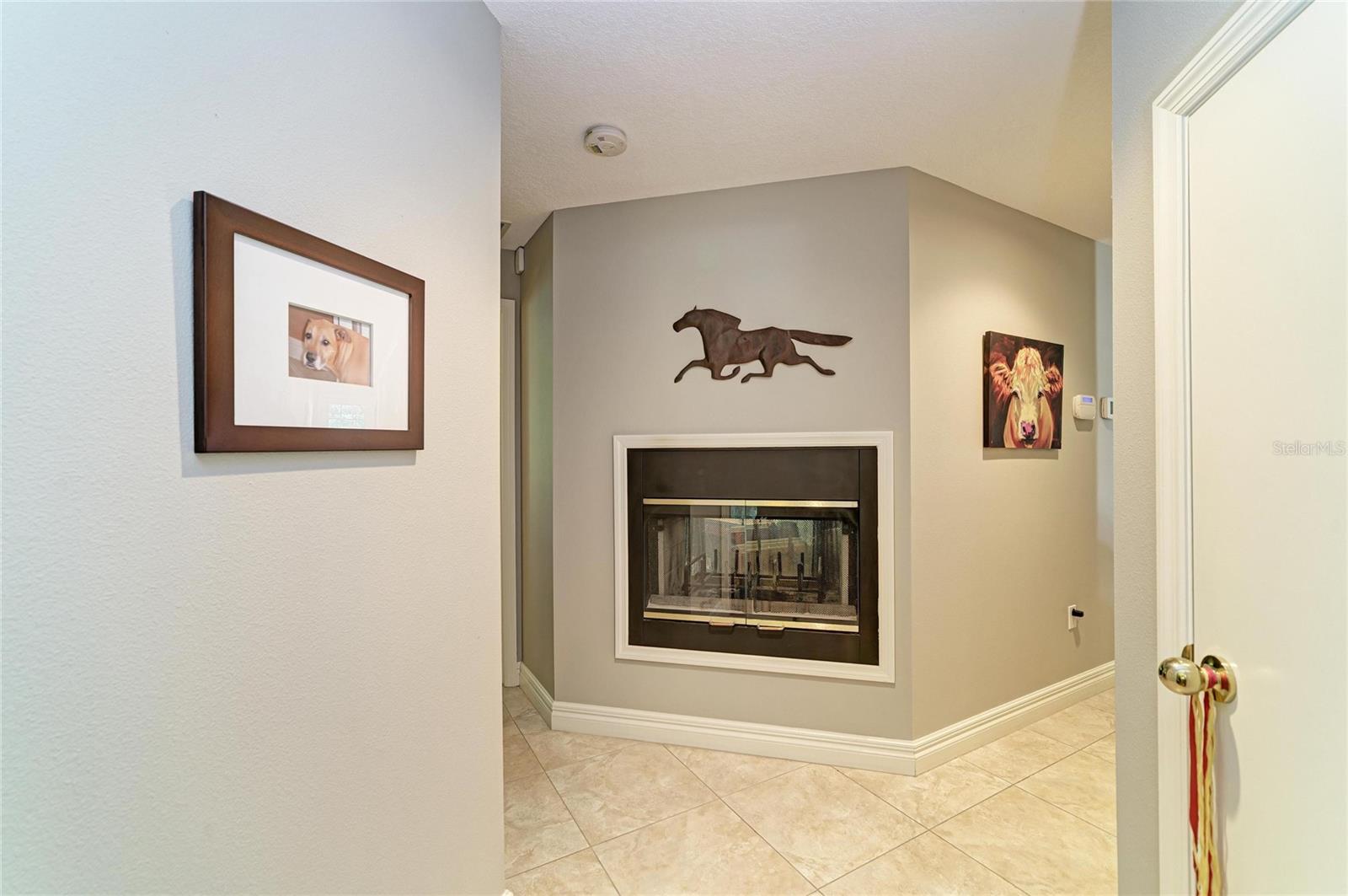 3706 AVENIDA MADERA — photo 29