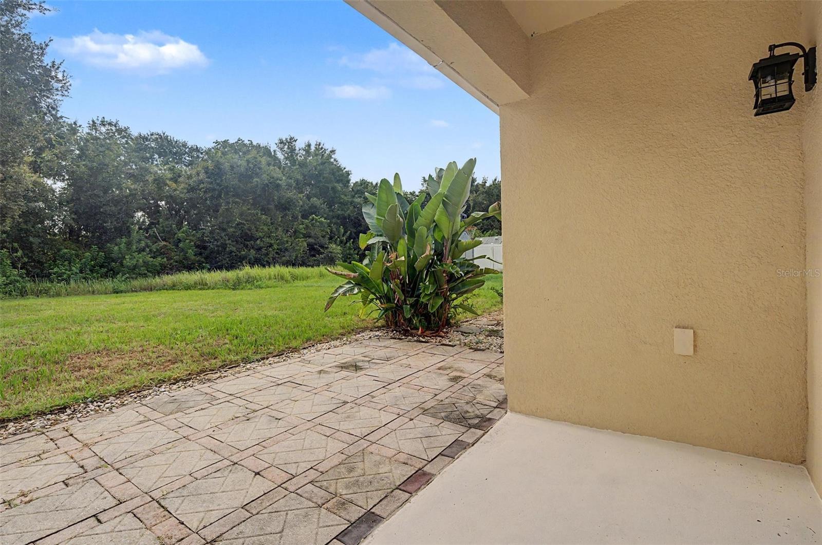7838 CARRIAGE POINTE DR — photo 45