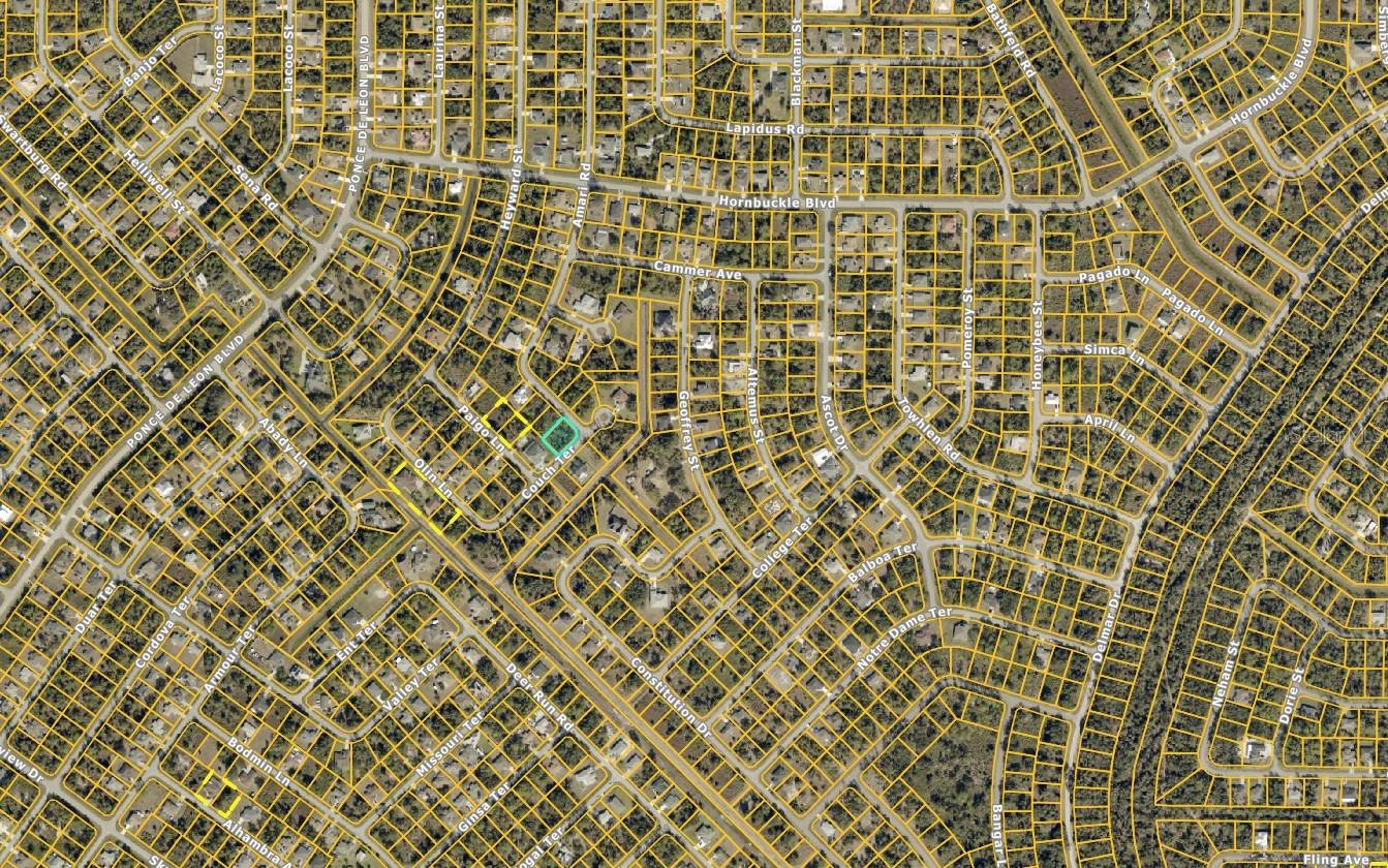 0952122918 AMARI RD — photo 3