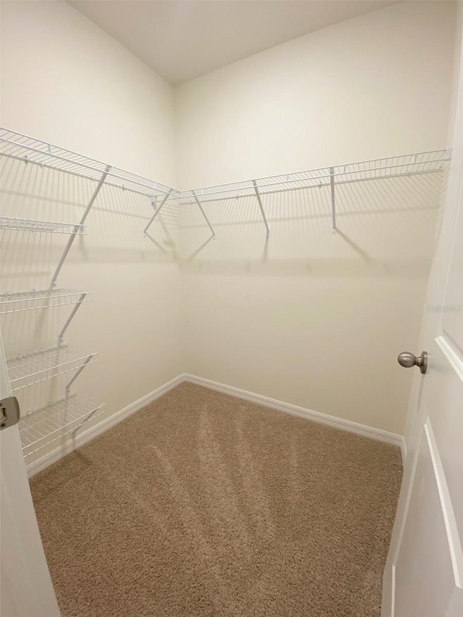 2897 BELUGA BAY DR — photo 7