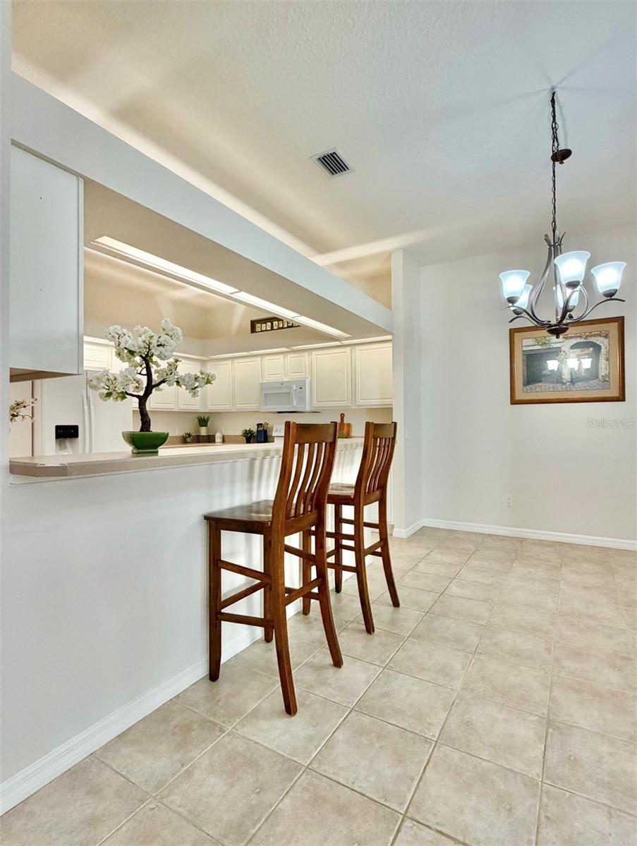 1326 BIG PINE DR — photo 8