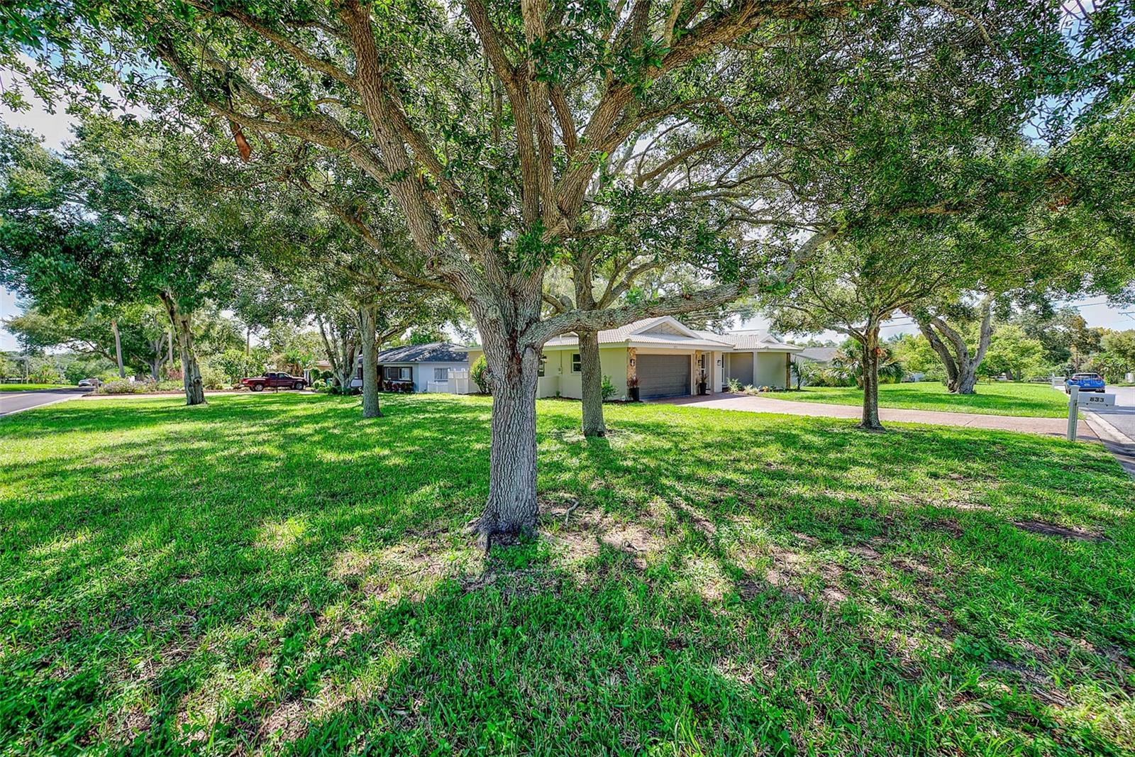 833 TALLOWOOD DR — photo 39
