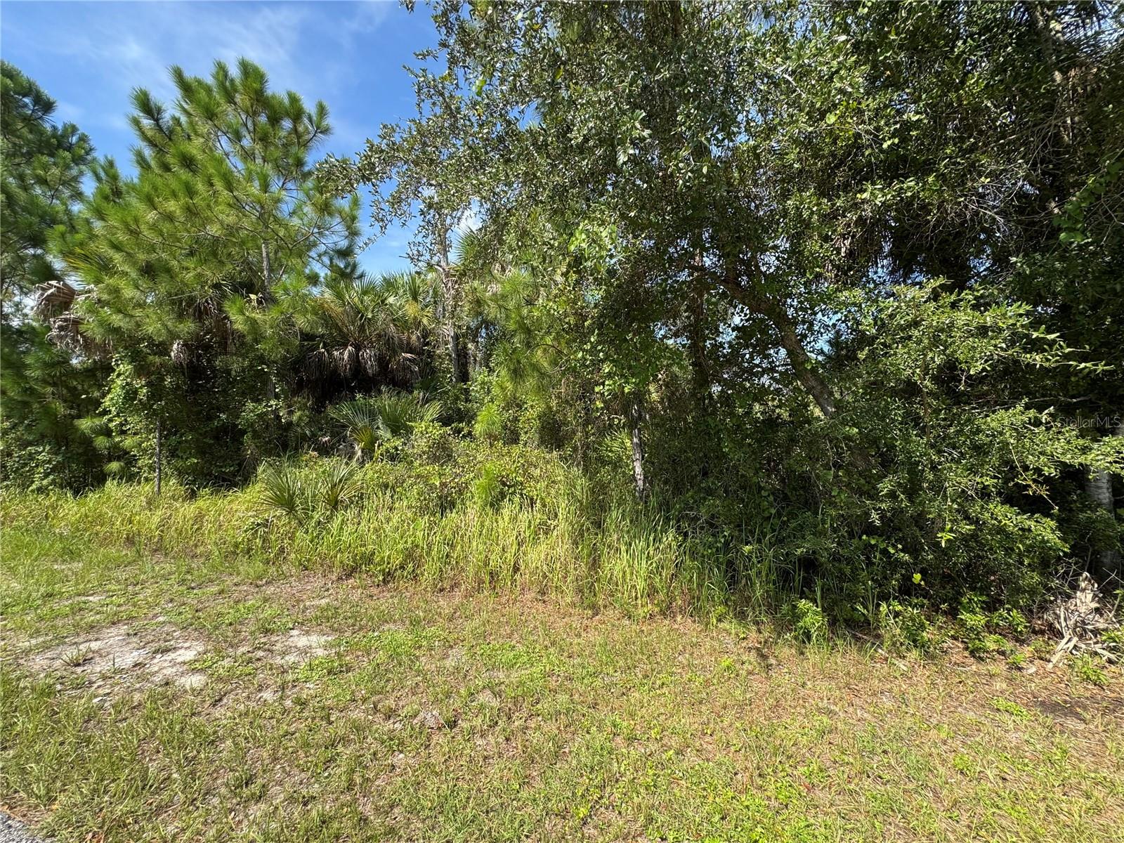 Lot 7 GASCOM ST — photo 4