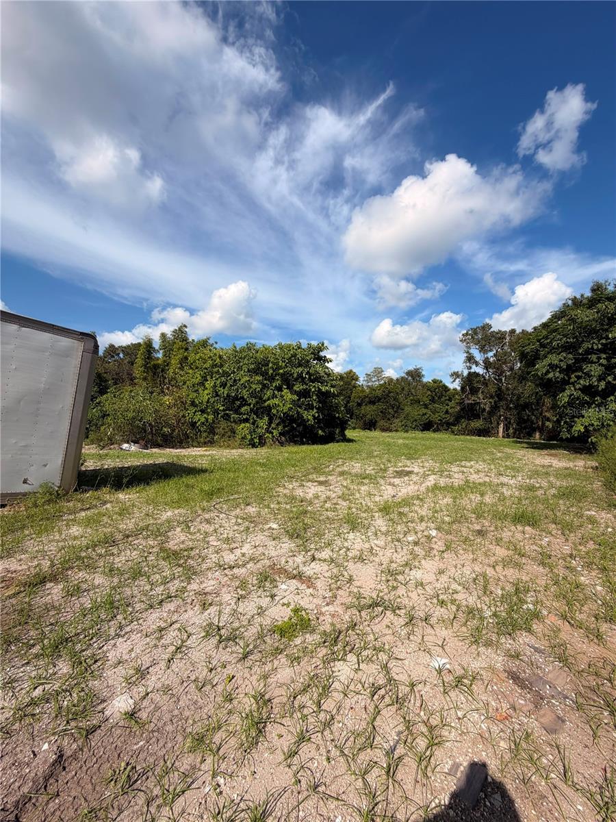 11665 TIMBER RIDGE DR — photo 15