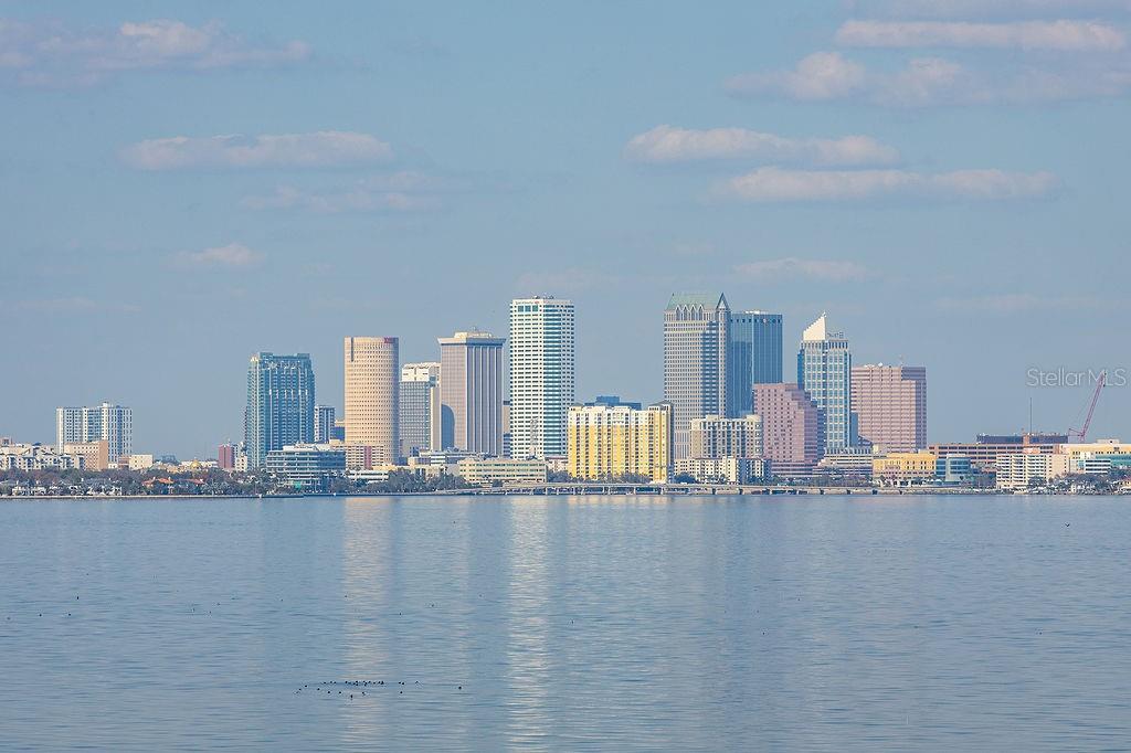 345 BAYSHORE BLVD #1407 — photo 49