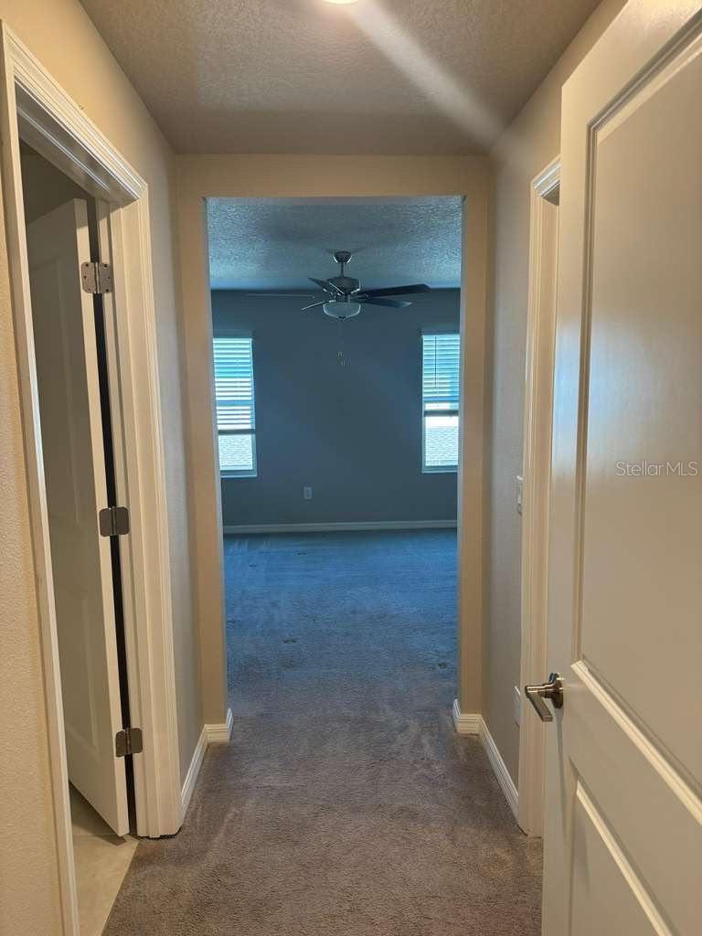 8339 BIRCH HAVEN LN — photo 11