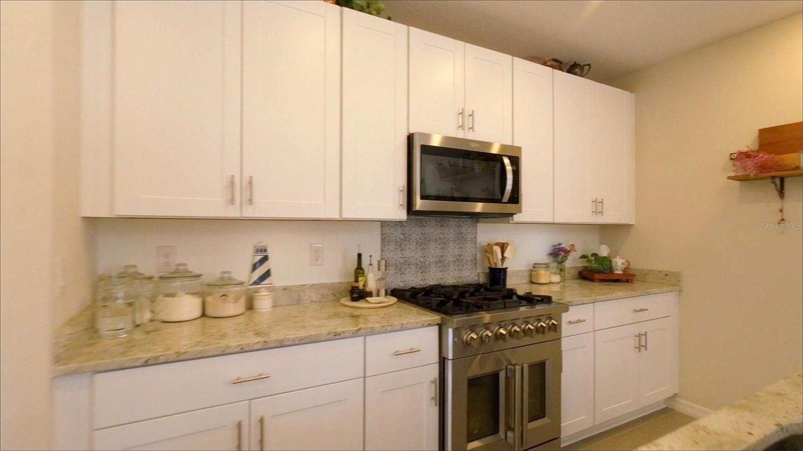 3070 FORREST PLUM CT — photo 10