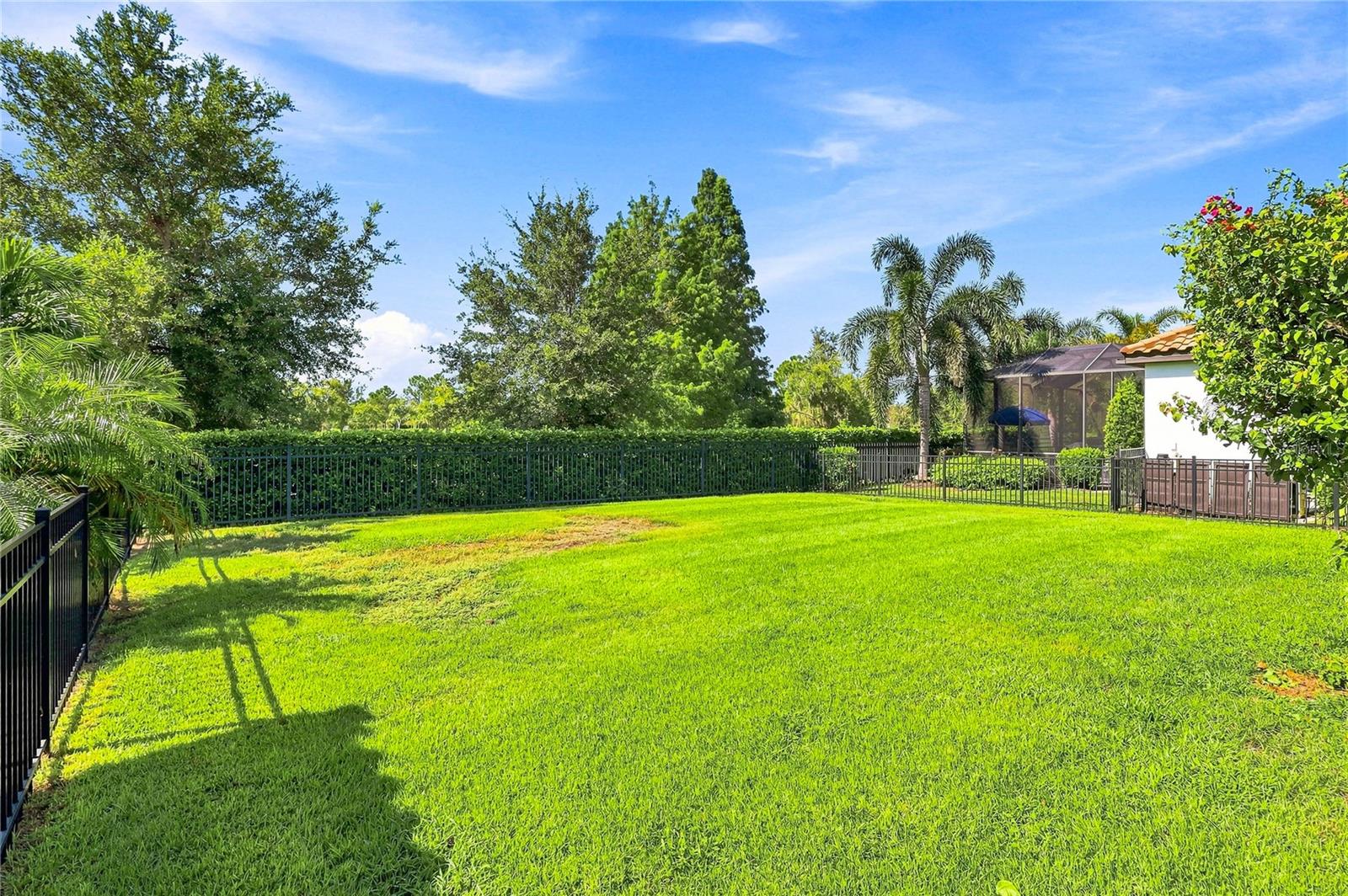 12320 TERRACOTTA DR — photo 37