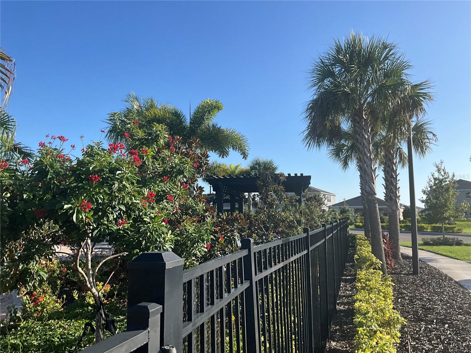 5038 ROCKY COAST PL — photo 42