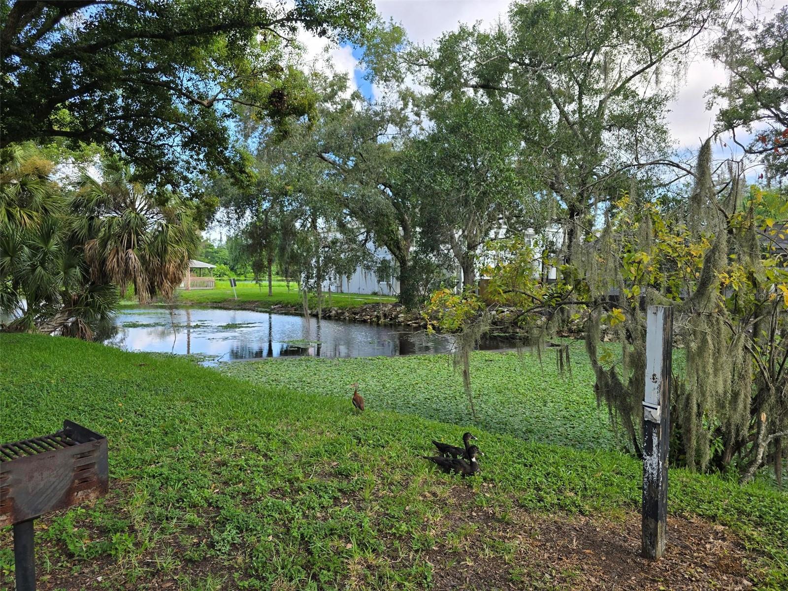 7186 E BANK DR #7186 — photo 25