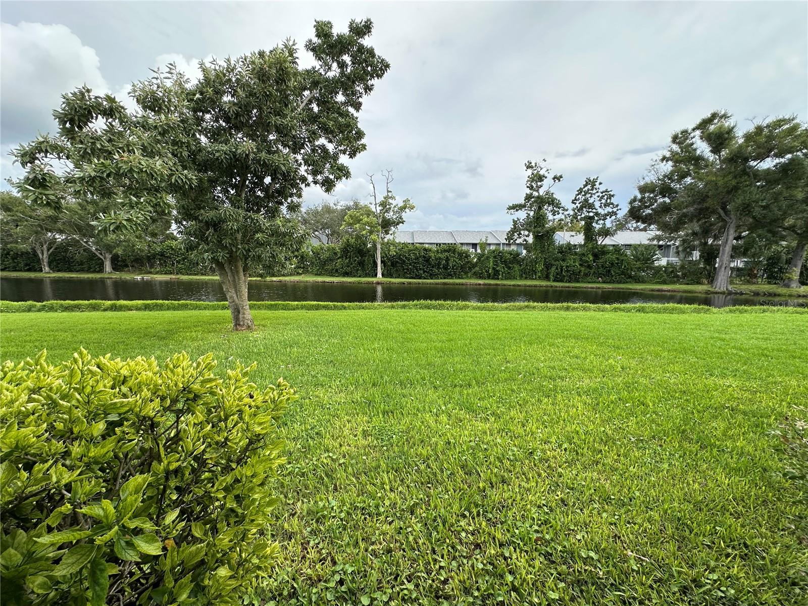 3312 VIVIENDA BLVD — photo 19