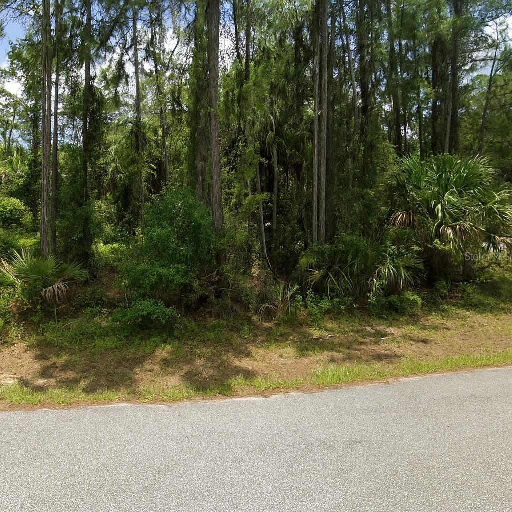 Lot 15 JONESBORO AVE — photo 2