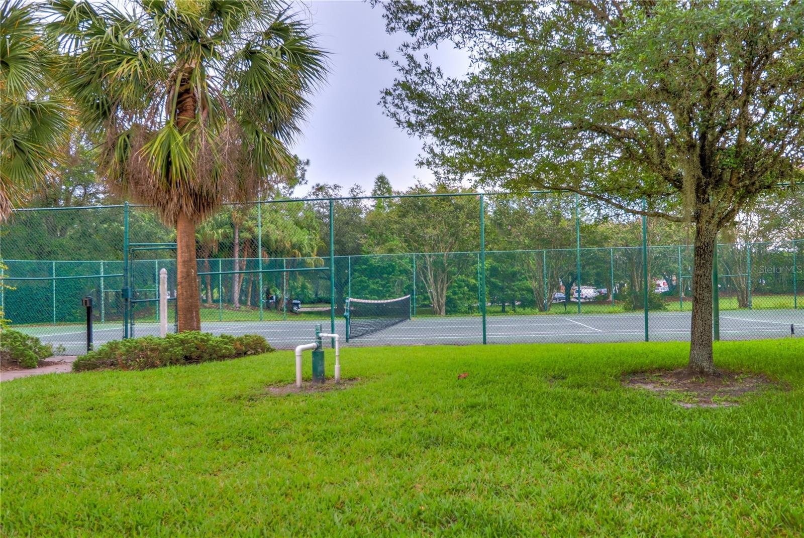 17102 CARRINGTON PARK DR #320 — photo 46